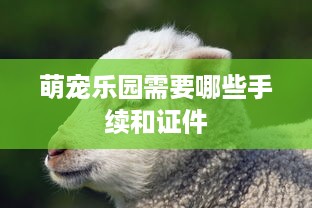 萌宠乐园需要哪些手续和证件