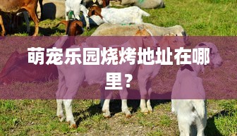萌宠乐园烧烤地址在哪里？