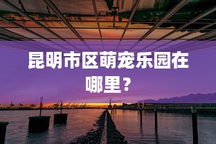 昆明市区萌宠乐园在哪里？