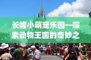 长隆小萌宠乐园—探索动物王国的奇妙之旅