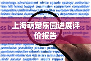 上海萌宠乐园进展评价报告