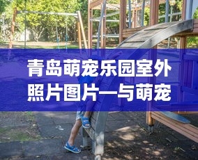 桂阳海豚湾萌宠乐园团购—家庭亲子游的不二选择