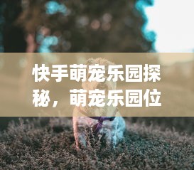 快手萌宠乐园探秘，萌宠乐园位置大揭秘