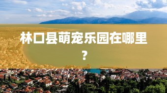 林口县萌宠乐园在哪里？