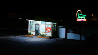 珠海萌宠乐园主题酒店招聘—开启宠物友好型酒店新篇章