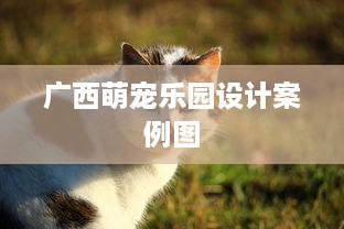 广西萌宠乐园设计案例图