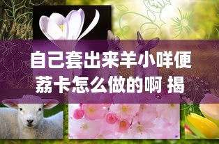 自己套出来羊小咩便荔卡怎么做的啊 揭秘羊小咩便荔卡制作攻略，自己动手，美味加分！