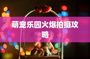 萌宠乐园火爆拍摄攻略