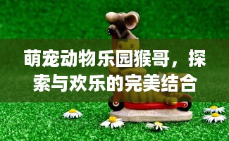 萌宠动物乐园猴哥，探索与欢乐的完美结合