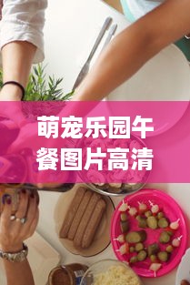 萌宠乐园午餐图片高清版