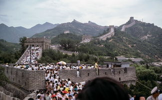 商丘爱家农场萌宠乐园地址及游玩攻略