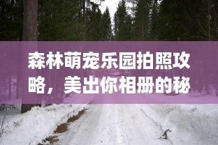森林萌宠乐园拍照攻略，美出你相册的秘籍