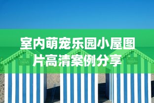 室内萌宠乐园小屋图片高清案例分享