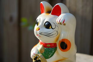 萌宠乐园喵喵咪安静书，与猫咪一起享受阅读的乐趣