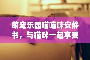 萌宠乐园喵喵咪安静书，与猫咪一起享受阅读的乐趣