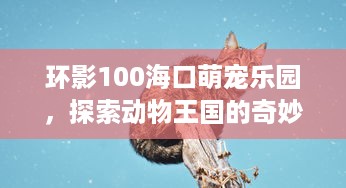 环影100海口萌宠乐园，探索动物王国的奇妙之旅