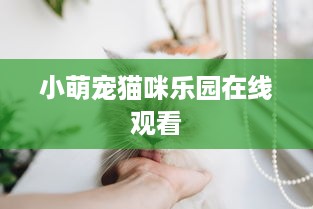 小萌宠猫咪乐园在线观看