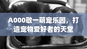 A000敬一萌宠乐园，打造宠物爱好者的天堂