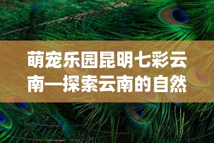 萌宠乐园昆明七彩云南—探索云南的自然奇遇与动物乐园