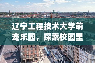 辽宁工程技术大学萌宠乐园，探索校园里的小动物王国