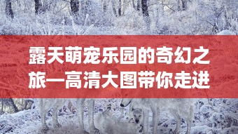 露天萌宠乐园的奇幻之旅—高清大图带你走进动物王国