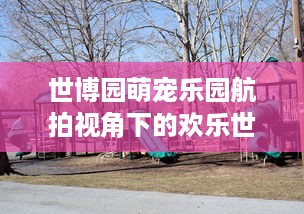 世博园萌宠乐园航拍视角下的欢乐世界