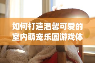 如何打造温馨可爱的室内萌宠乐园游戏体验