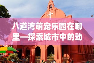 八道湾萌宠乐园在哪里—探索城市中的动物天堂