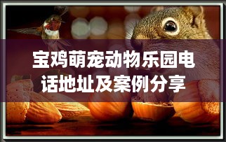 宝鸡萌宠动物乐园电话地址及案例分享