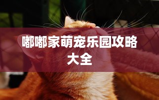 嘟嘟家萌宠乐园攻略大全