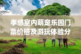 孝感室内萌宠乐园门票价格及游玩体验分享