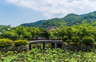 芹溪村萌宠乐园在哪里？