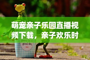 萌宠亲子乐园直播视频下载，亲子欢乐时光的温馨乐园