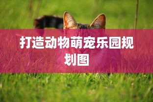 打造动物萌宠乐园规划图