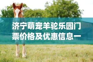 济宁萌宠羊驼乐园门票价格及优惠信息一览