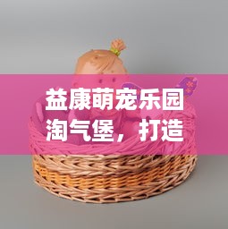 益康萌宠乐园淘气堡，打造孩子们的欢乐天地