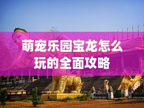 萌宠乐园宝龙怎么玩的全面攻略