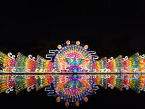 萌宠乐园宝龙怎么玩的全面攻略