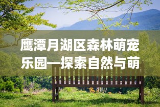 鹰潭月湖区森林萌宠乐园—探索自然与萌宠的奇妙世界