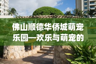 佛山顺德华侨城萌宠乐园—欢乐与萌宠的乐园之旅
