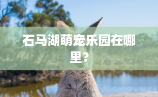 石马湖萌宠乐园在哪里？