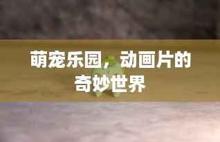 萌宠乐园，动画片的奇妙世界