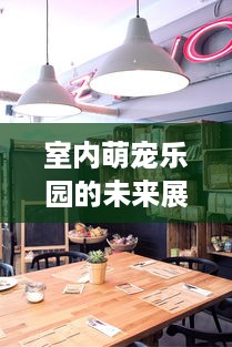 室内萌宠乐园的未来展望