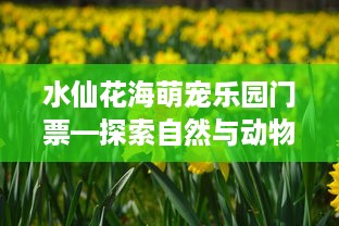 水仙花海萌宠乐园门票—探索自然与动物的奇妙之旅