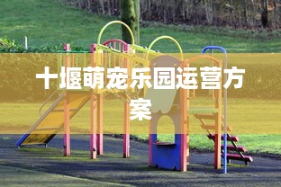 十堰萌宠乐园运营方案