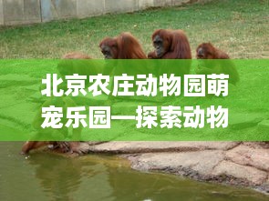 北京农庄动物园萌宠乐园—探索动物王国的乐趣