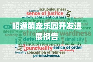 昭通萌宠乐园开发进展报告