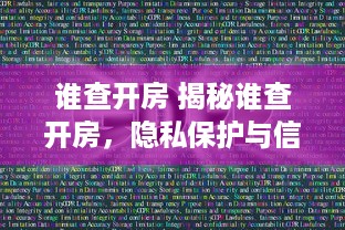 谁查开房 揭秘谁查开房，隐私保护与信息透明的边界探讨