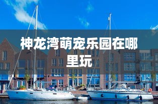 神龙湾萌宠乐园在哪里玩