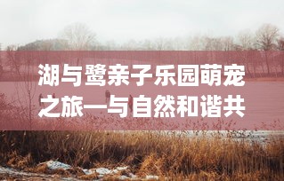 湖与鹭亲子乐园萌宠之旅—与自然和谐共舞的欢乐乐园